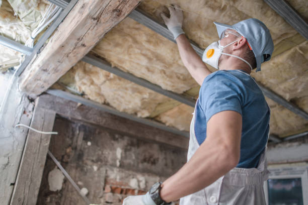 Best Insulation Maintenance and Repair in Orchard Homes, MT